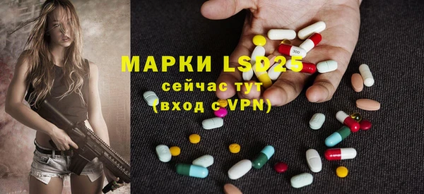 ПСИЛОЦИБИНОВЫЕ ГРИБЫ Алексеевка