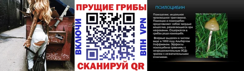 Псилоцибиновые грибы Cubensis  Салехард 